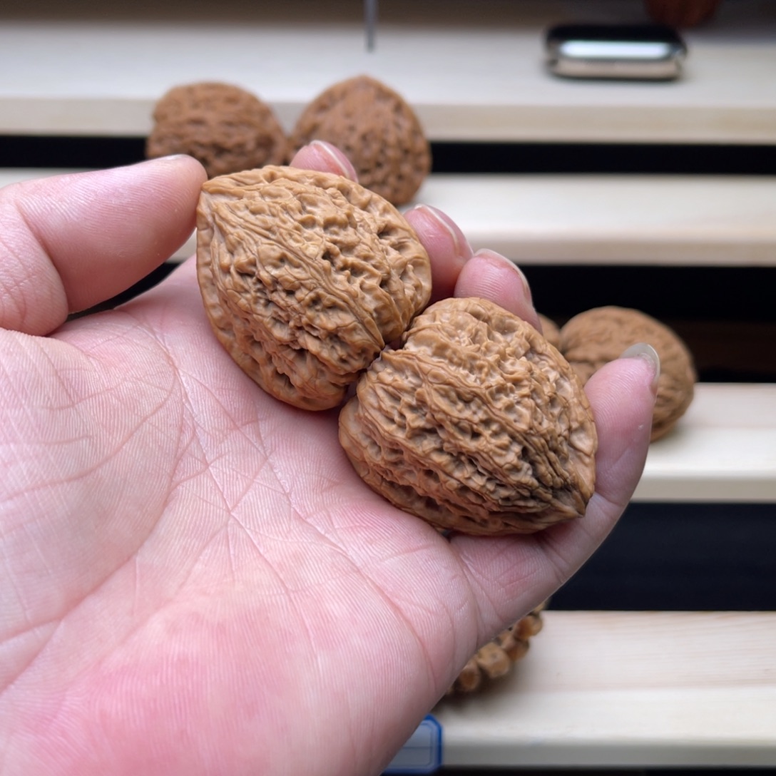 韦***爷把件文玩核桃涿鹿