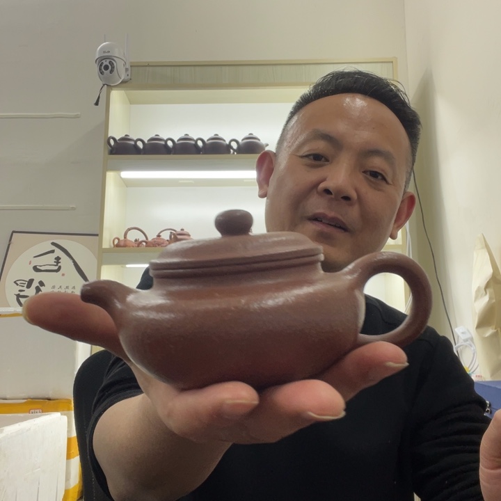 茶壶紫砂紫砂壶宜兴