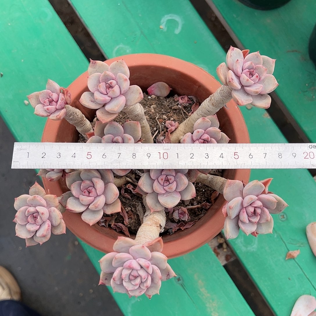 cjfjchcbvhbhghghghhhhhjh