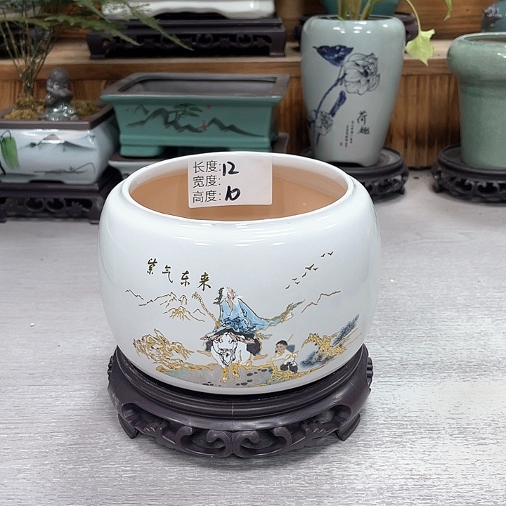 陶瓷花盆紫砂花盆抢购福利