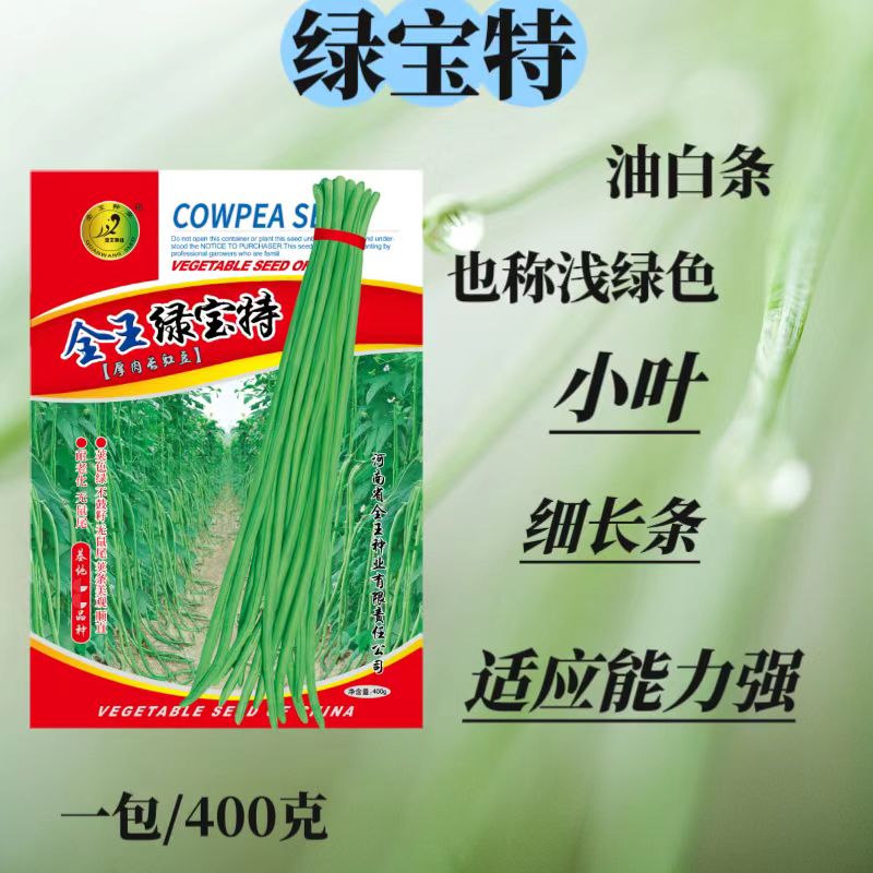 绿宝特，油白条，浅绿色，豆角种子，顺直，早熟，高产耐低温结果集中