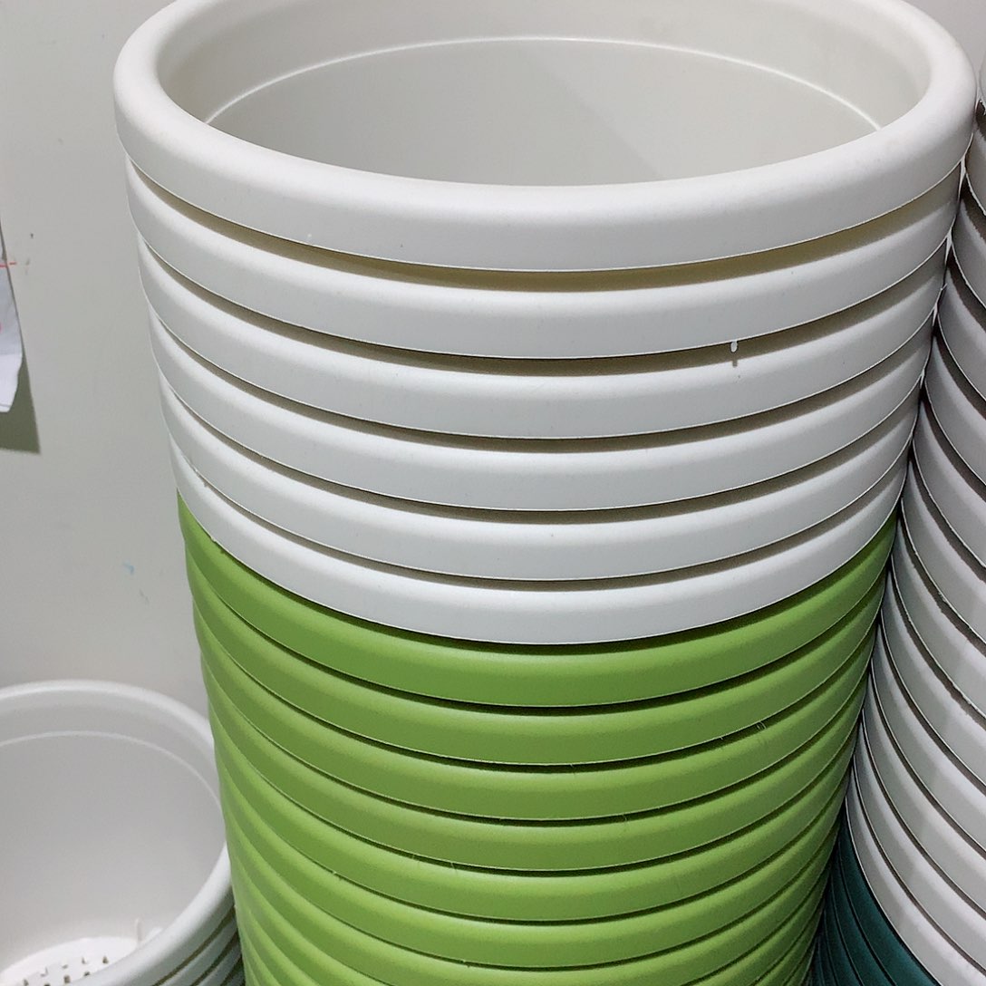 树脂四季口29白6个无托