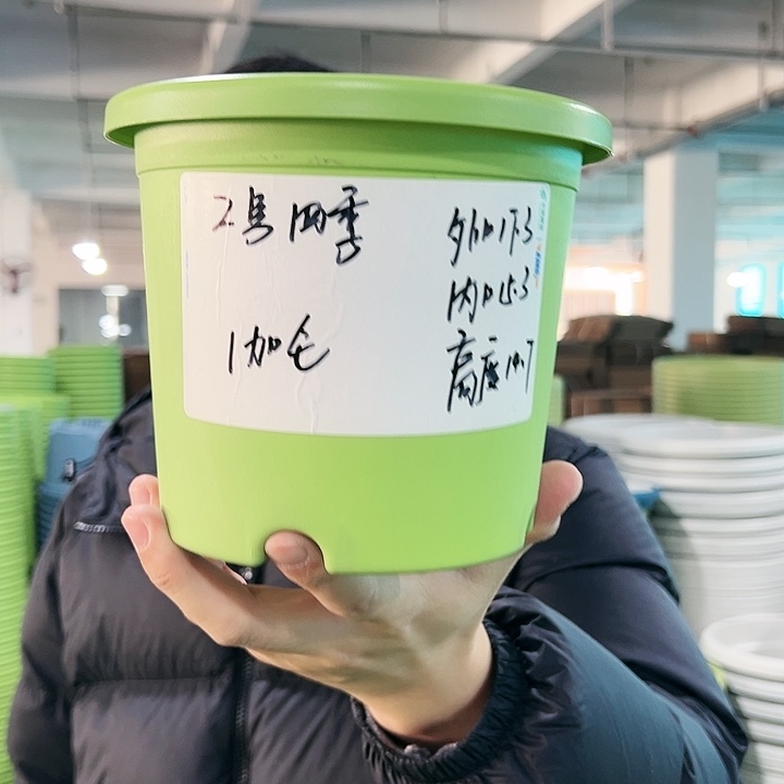 特价2号四季口17高14.7果绿无托10只