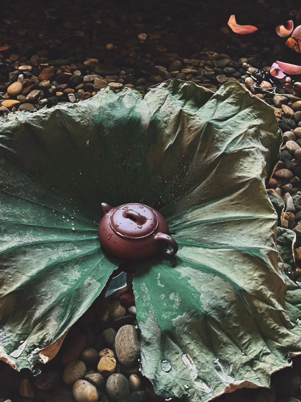 四号井底槽清无尘壶