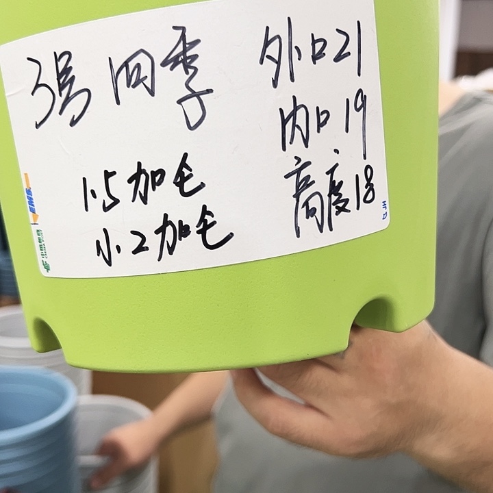 特价3号四季口21高18混色10个无托