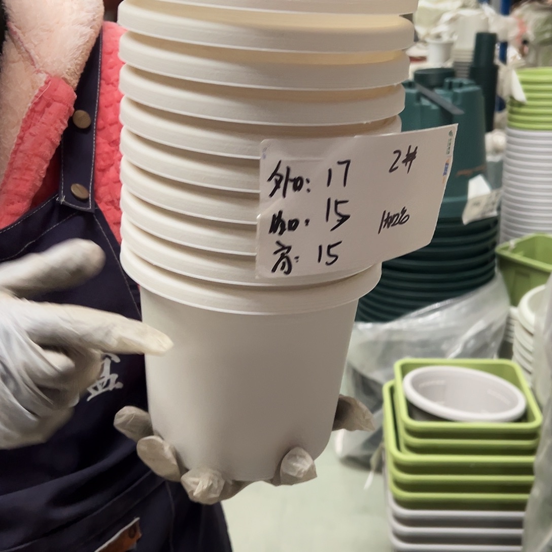 四季盆2#白色10个无托