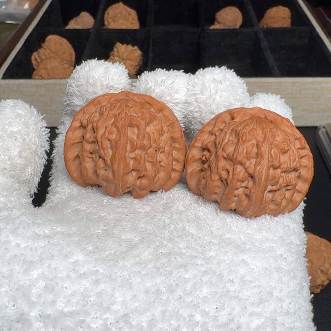 走***了文玩核桃把件全品白狮子 尺寸44