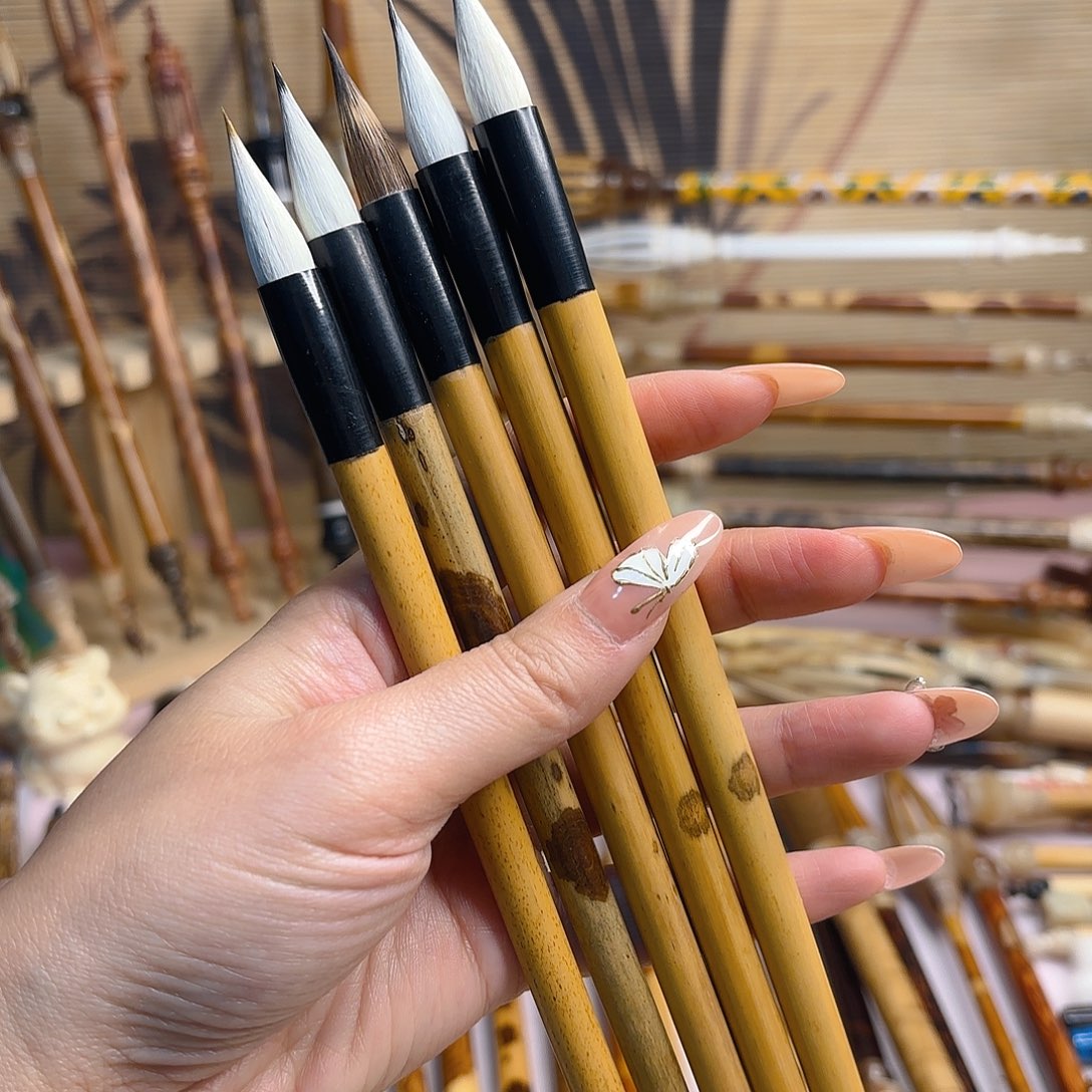 茶***灿五支小楷鸡距蒜头黑香妃