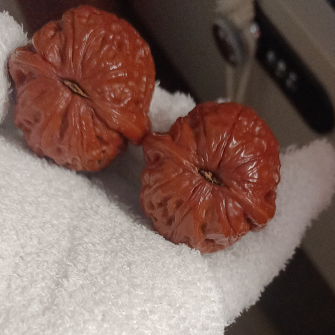 40元宝狮子头文玩核桃链接