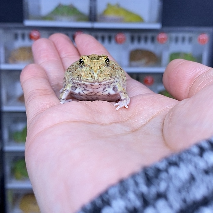 特价秒杀现货供应