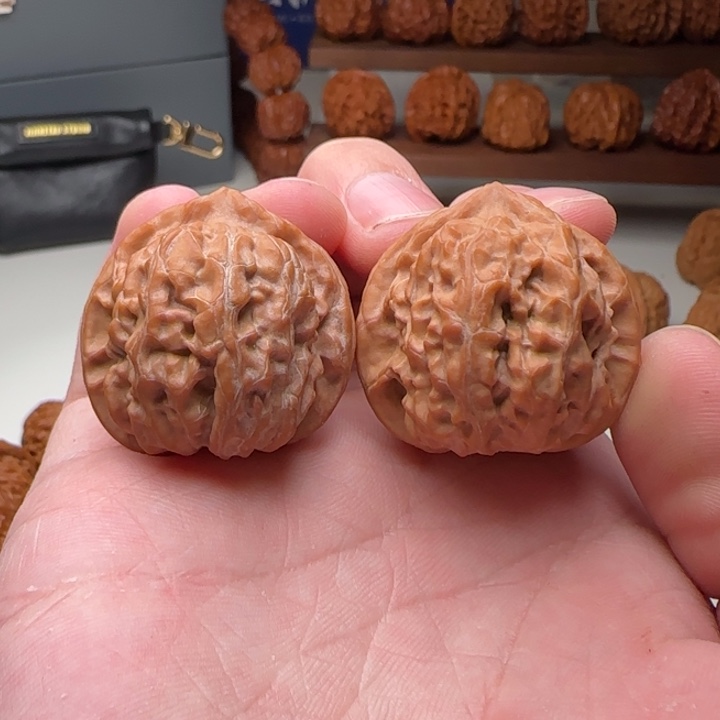 L33-33-32蓟县火桃A18号