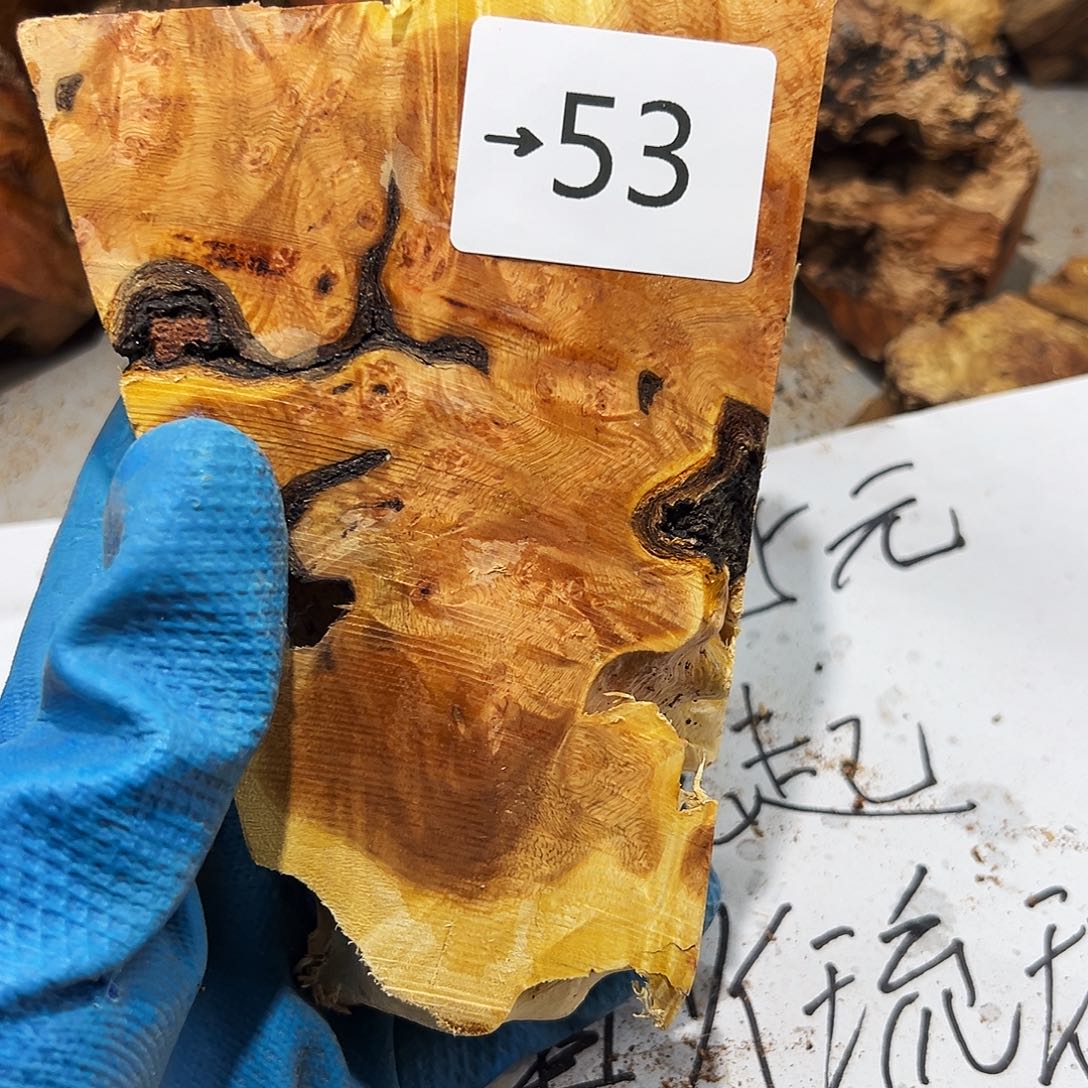 香榧木一*树火琉璃……火琉璃