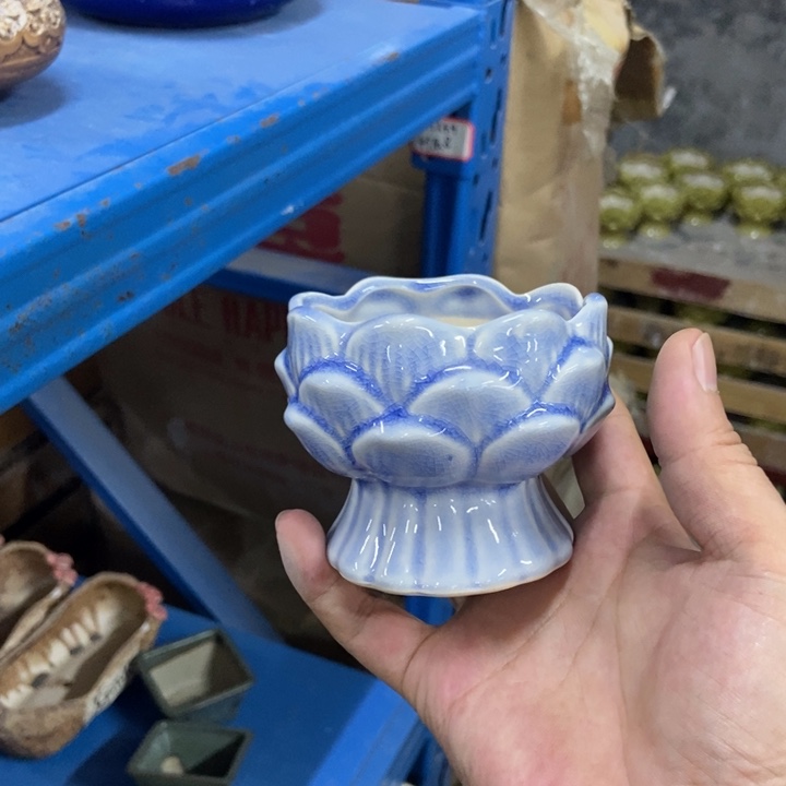 花盆单场满9.9发货8*7蓝紫