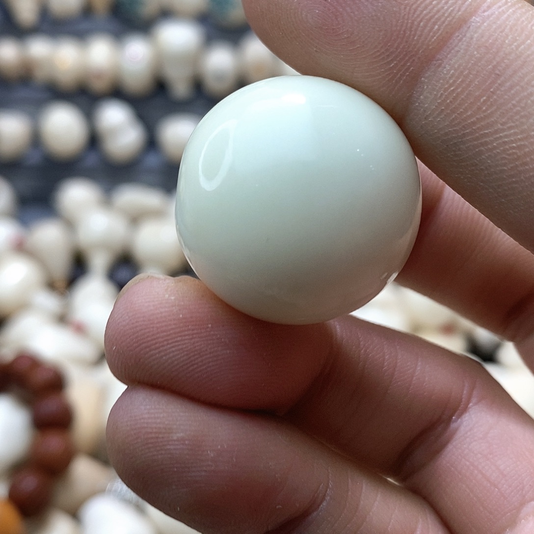 *****吊坠菩提根/象牙果