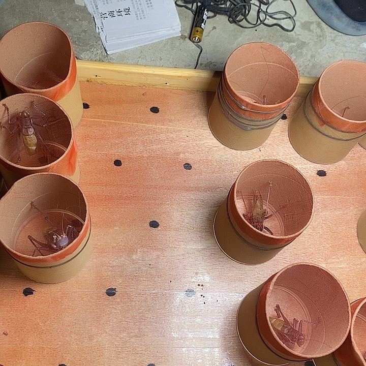 用***6天津市杨鹏聚蚡房一条