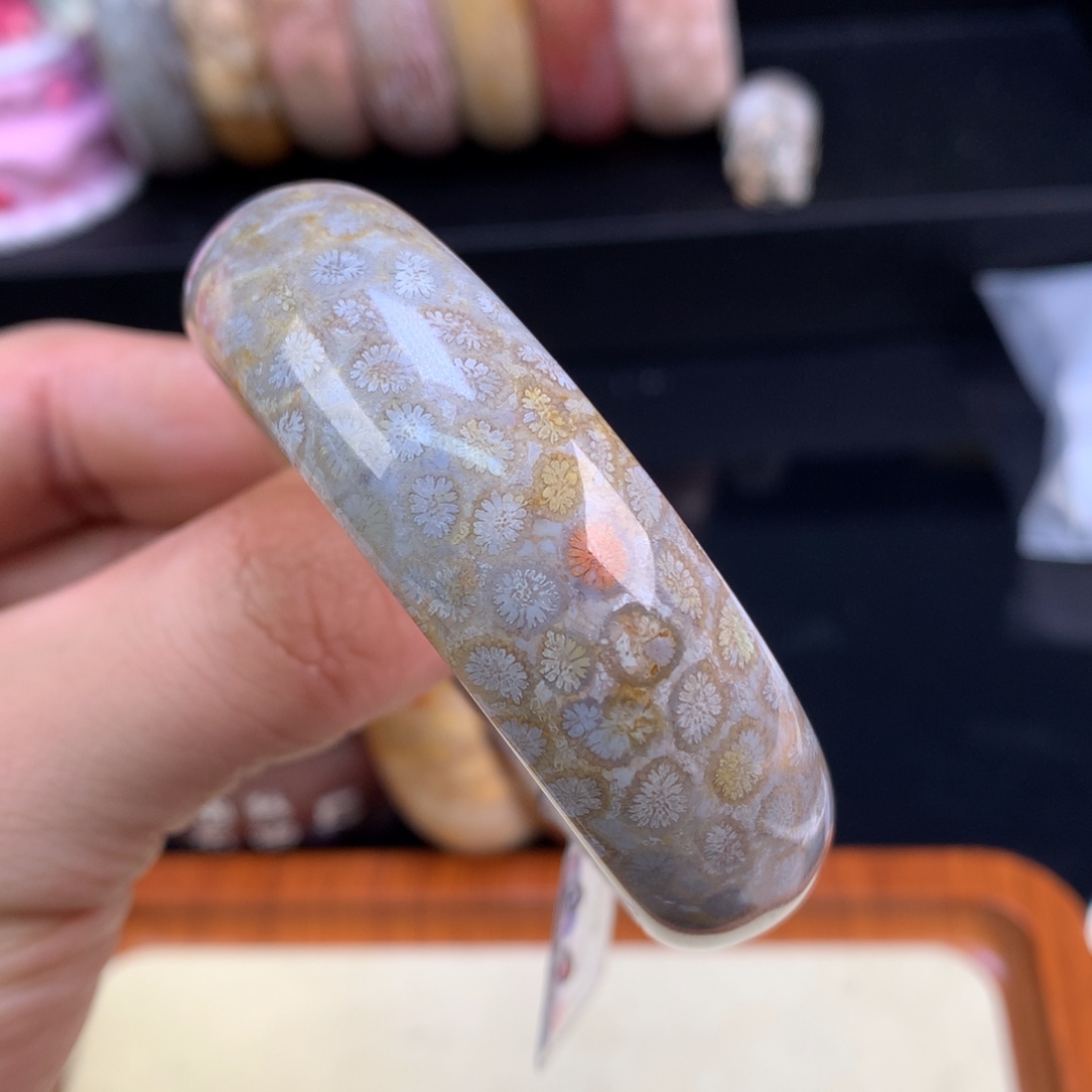 硅化珊瑚（珊瑚玉）未镶嵌颈饰125号灰蓝豹纹52.2圈