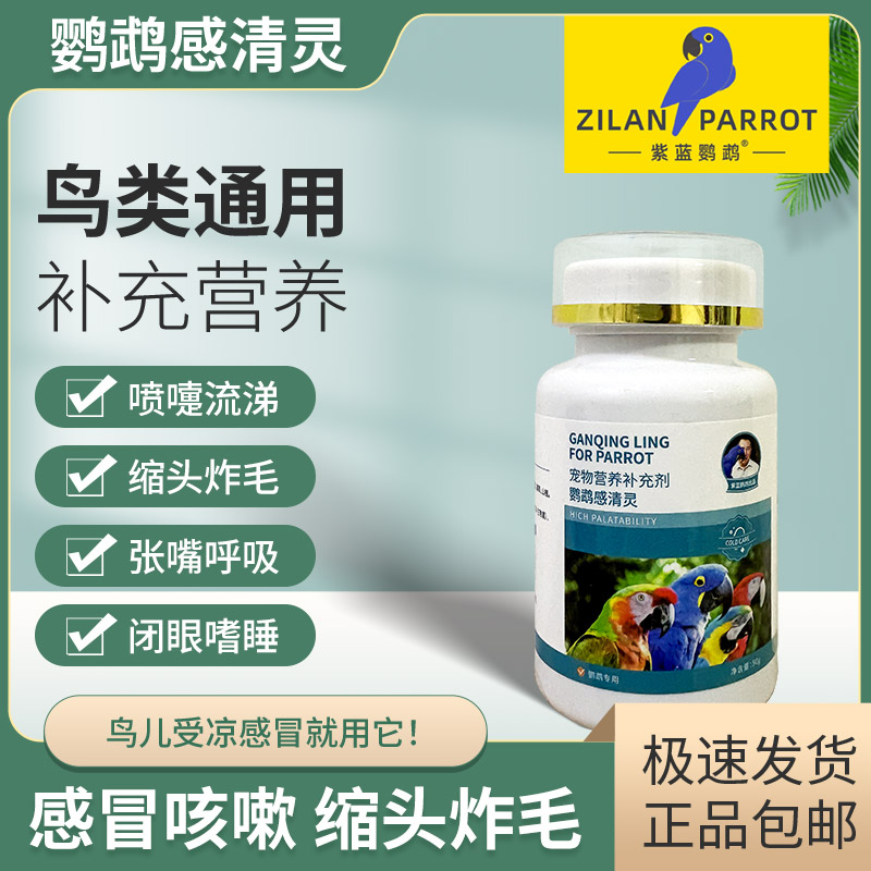 鹦鹉用品感清灵伤寒感冒炸毛咳嗽喘气眼肿喷嚏流泪专用护理品