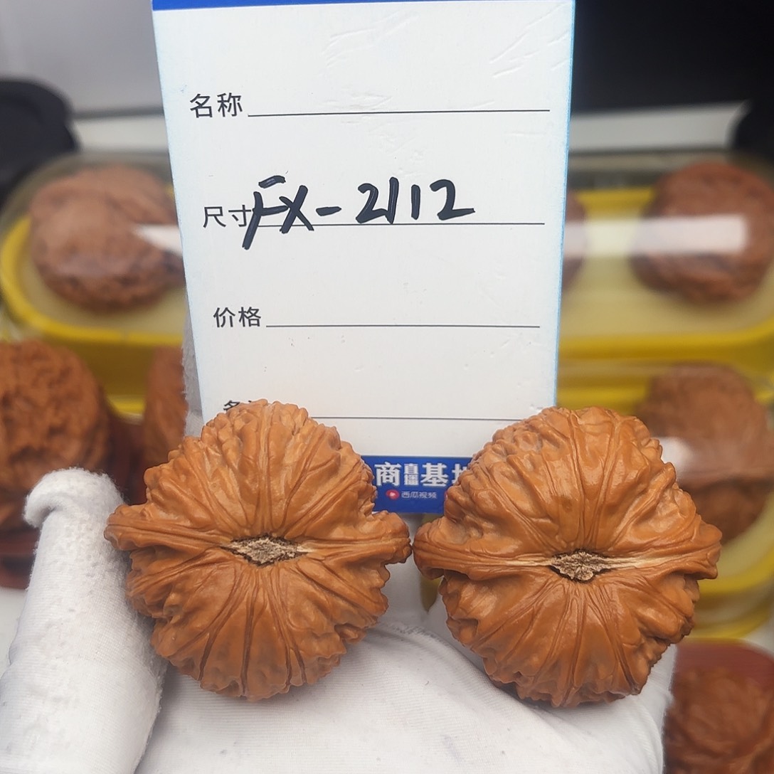 文玩核桃吊坠凡*白狮子