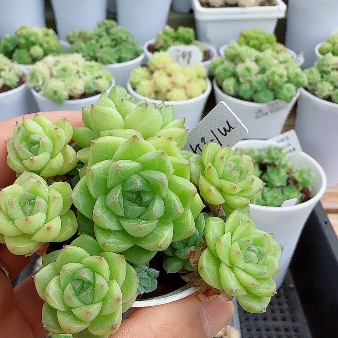 N***e【闪购商品】0609-89（m1-229-2）