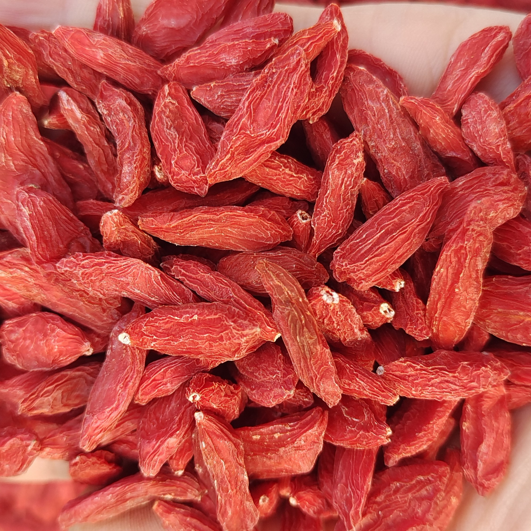 小尖椒枸杞宁夏枸杞头茬即食超大个农家天然枸杞