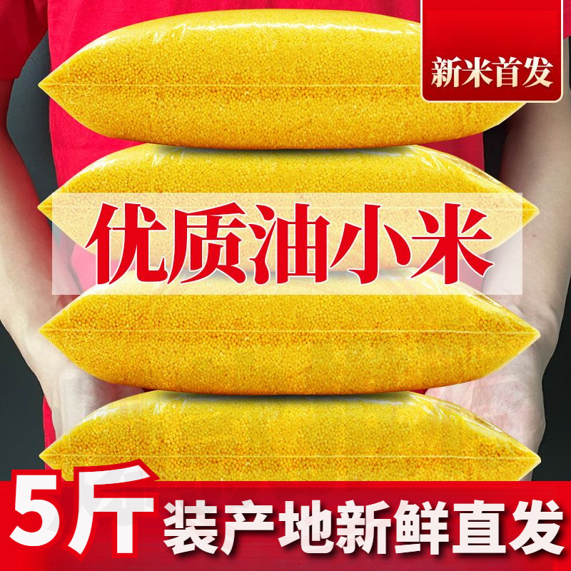 新米】5斤装黄小米大包煮饭煮粥小米颗粒金黄饱满健康营养
