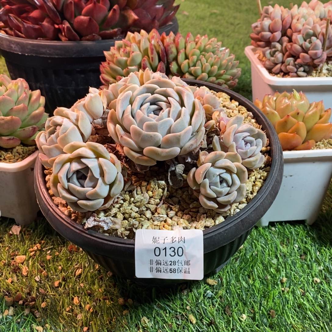 0133。这种天气真的