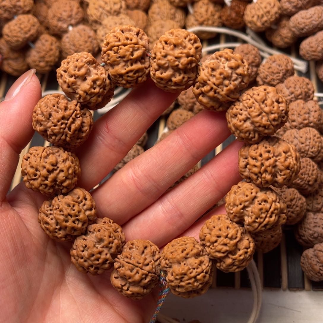 菩提尼泊尔大金刚原生态梅花23