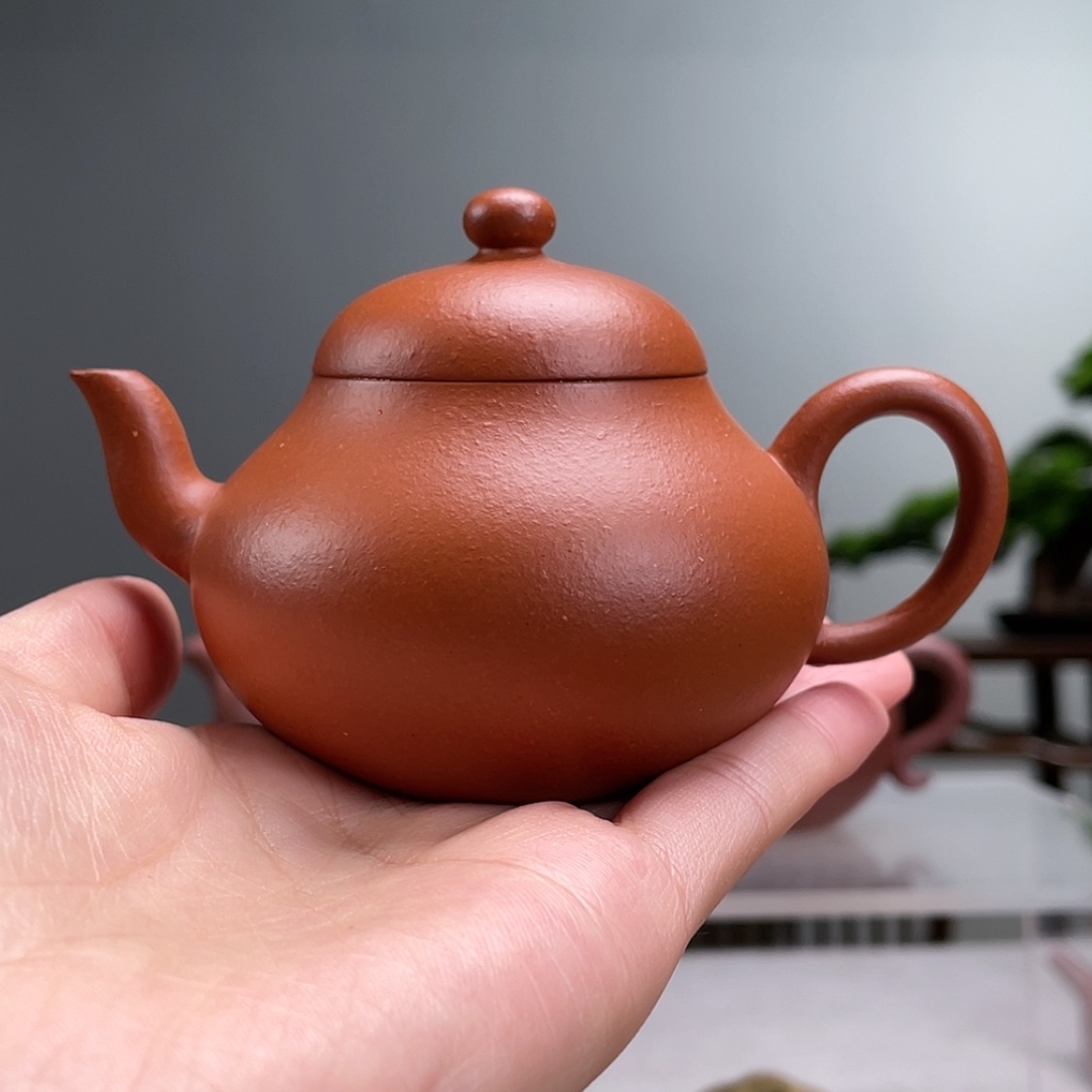 【闪购商品】茶壶紫砂老****6朱料朱泥梨子容量125cc