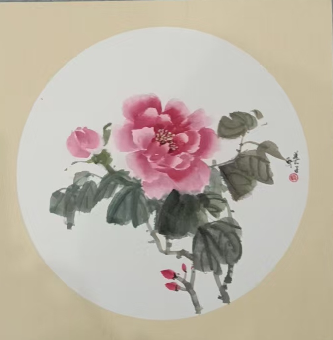 美子作品 斗方牡丹 尺寸33×33