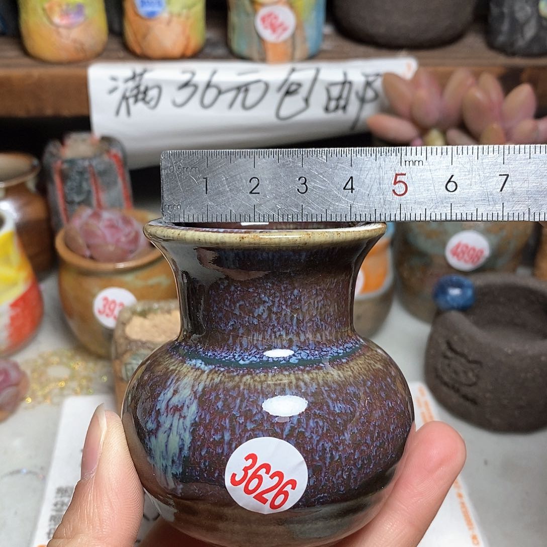 红陶拍5送一个小