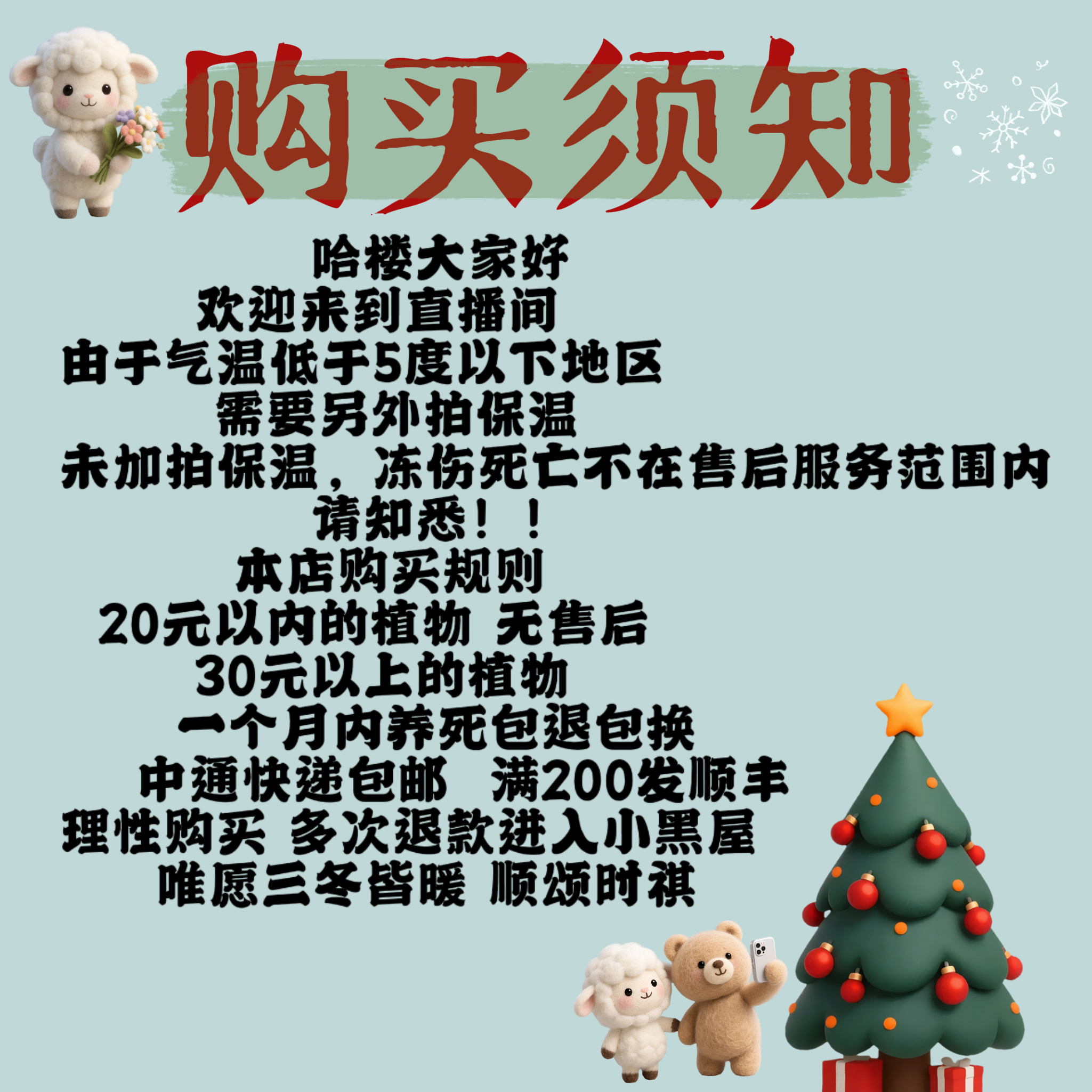 重要‼️购买须知下单请认真阅读