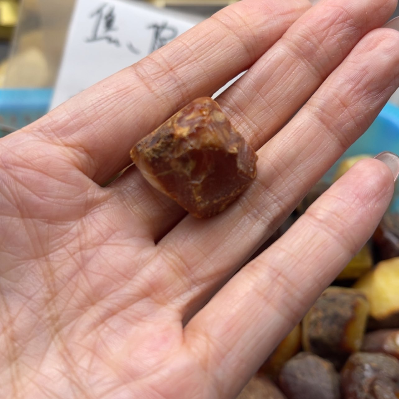 【闪购商品】未镶嵌定制琥珀秋*天然琥珀蜜蜡原石定制