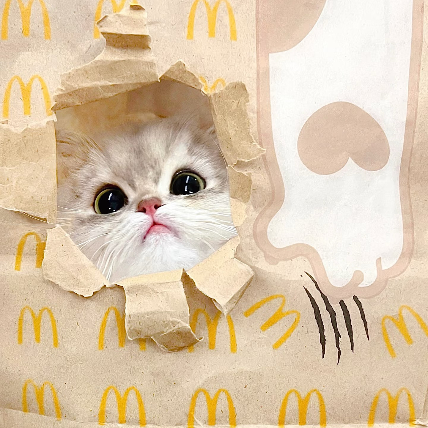 【大侠宠物】XR冻干组合all in