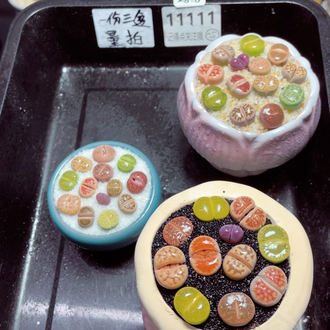 w11111一份三盆量拍