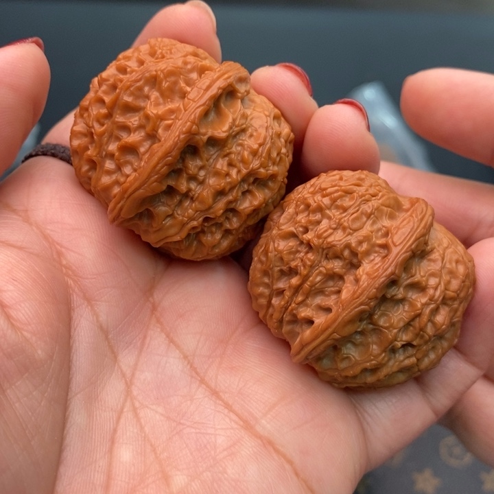 ꧁***꧂核桃血麒麟40尺核桃