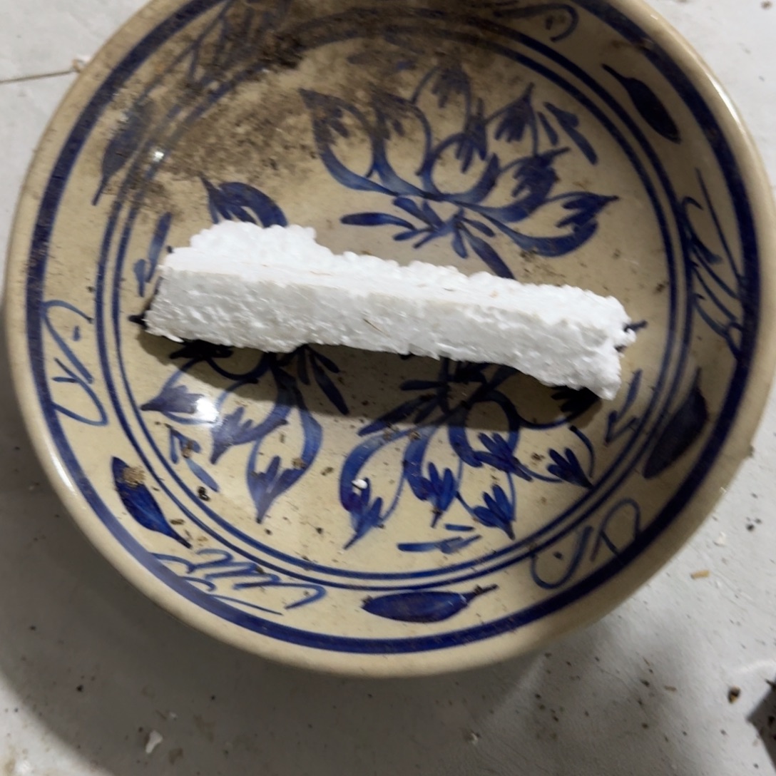 茶盏好想和她谈心聊天的样子