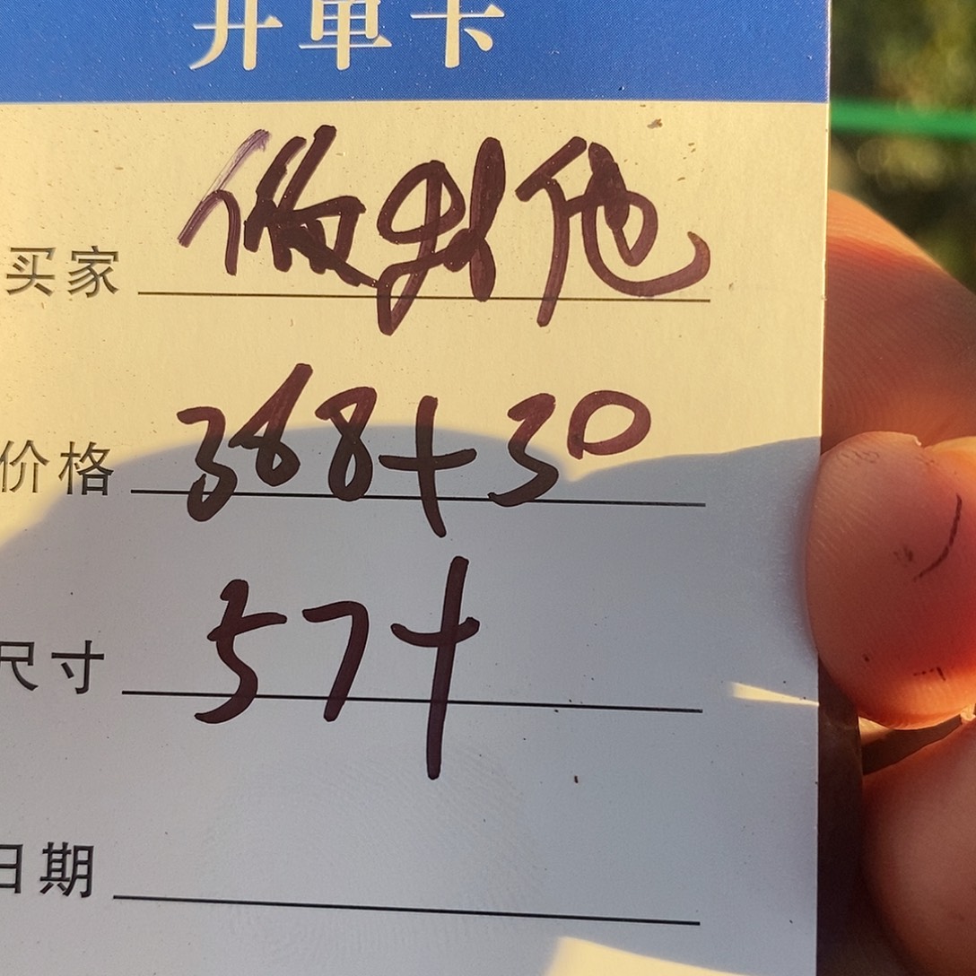 你***。非金属所见皆所得