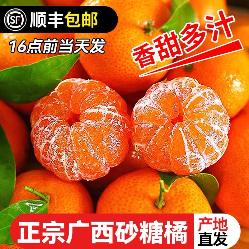 广西砂糖橘新鲜现摘现发爆甜多汁新疆顺丰包邮当季薄皮柑橘蜜橘