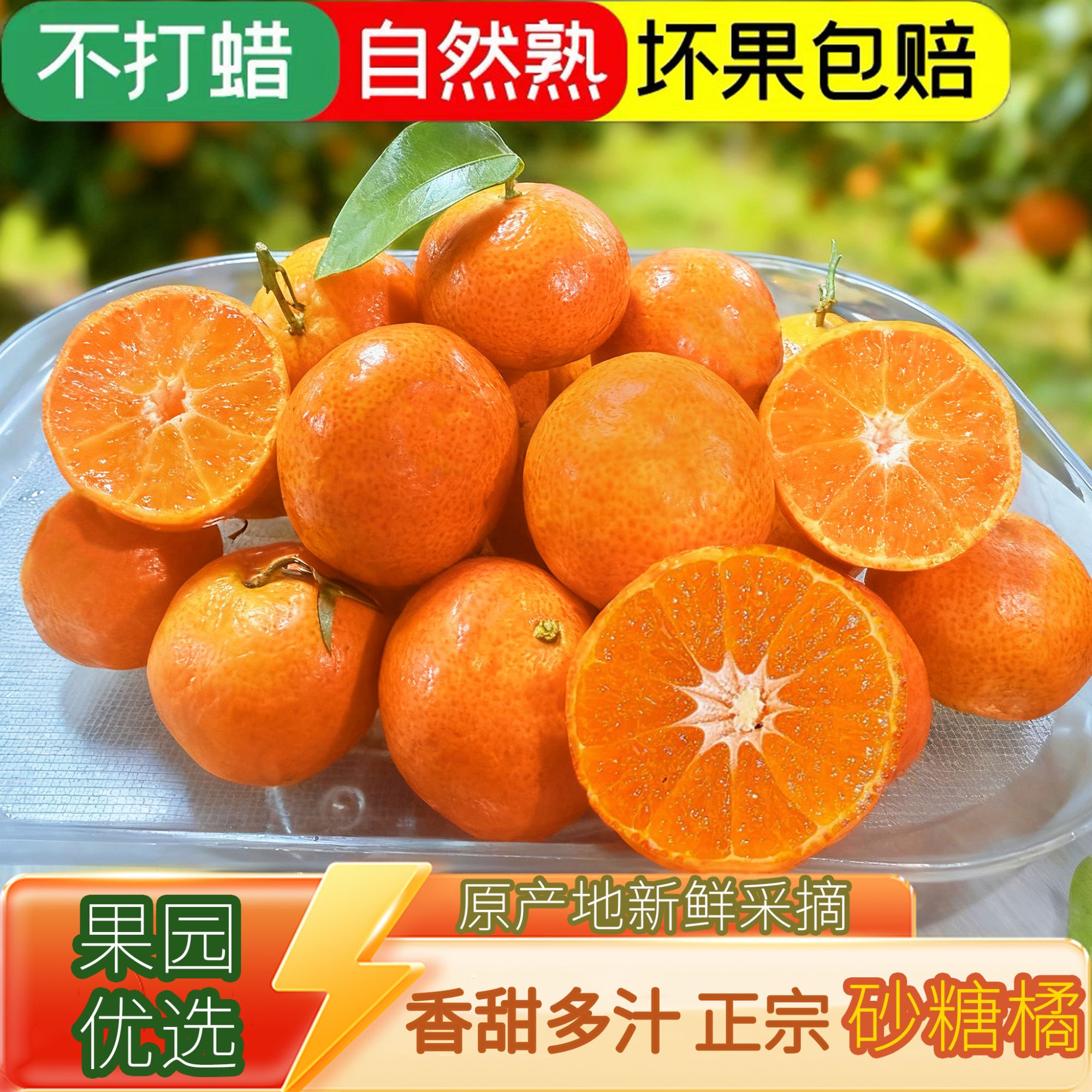 正宗广西砂糖橘拍五斤送三斤新鲜水果甜蜜橘薄皮多汁沙糖桔橘子