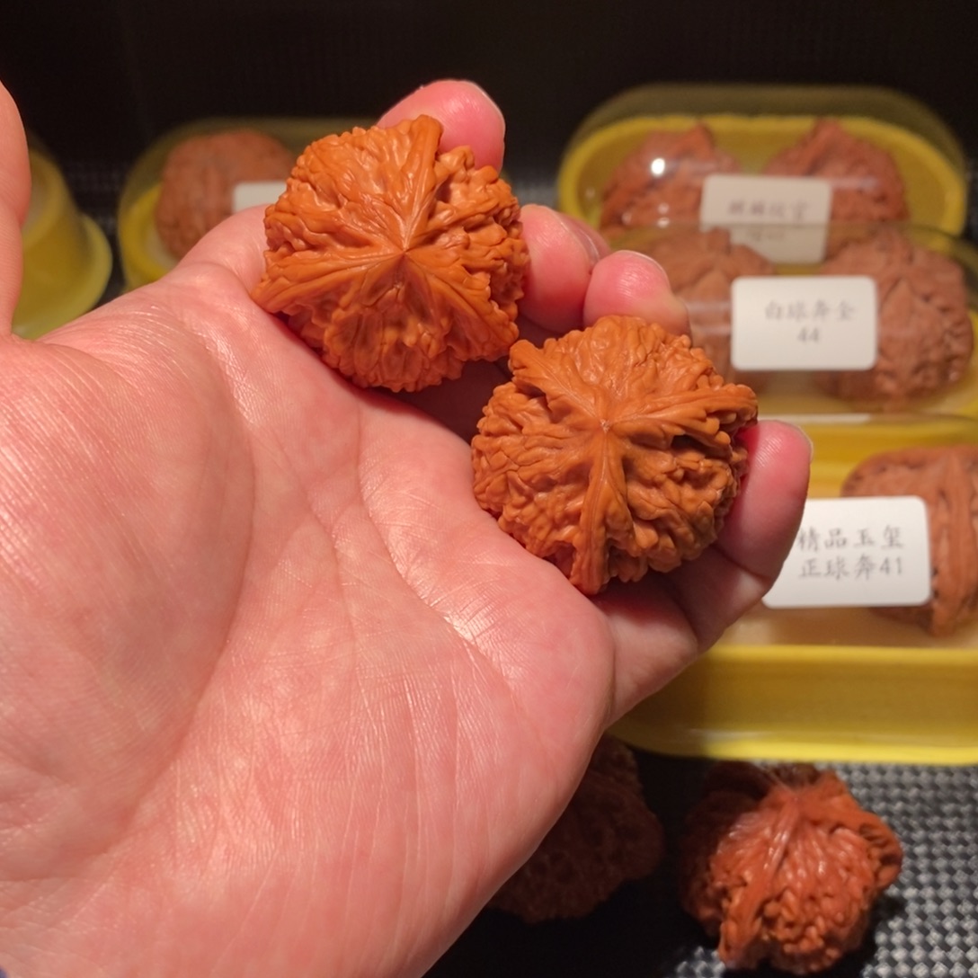 梦***城40御龙粗筋正球奔精品对