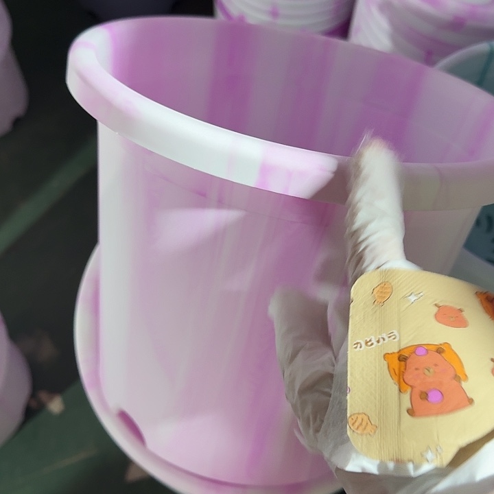 四季4号紫色琉璃无托10个特价