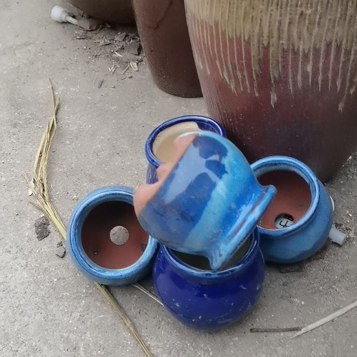 红陶瑕疵随机八个盆子