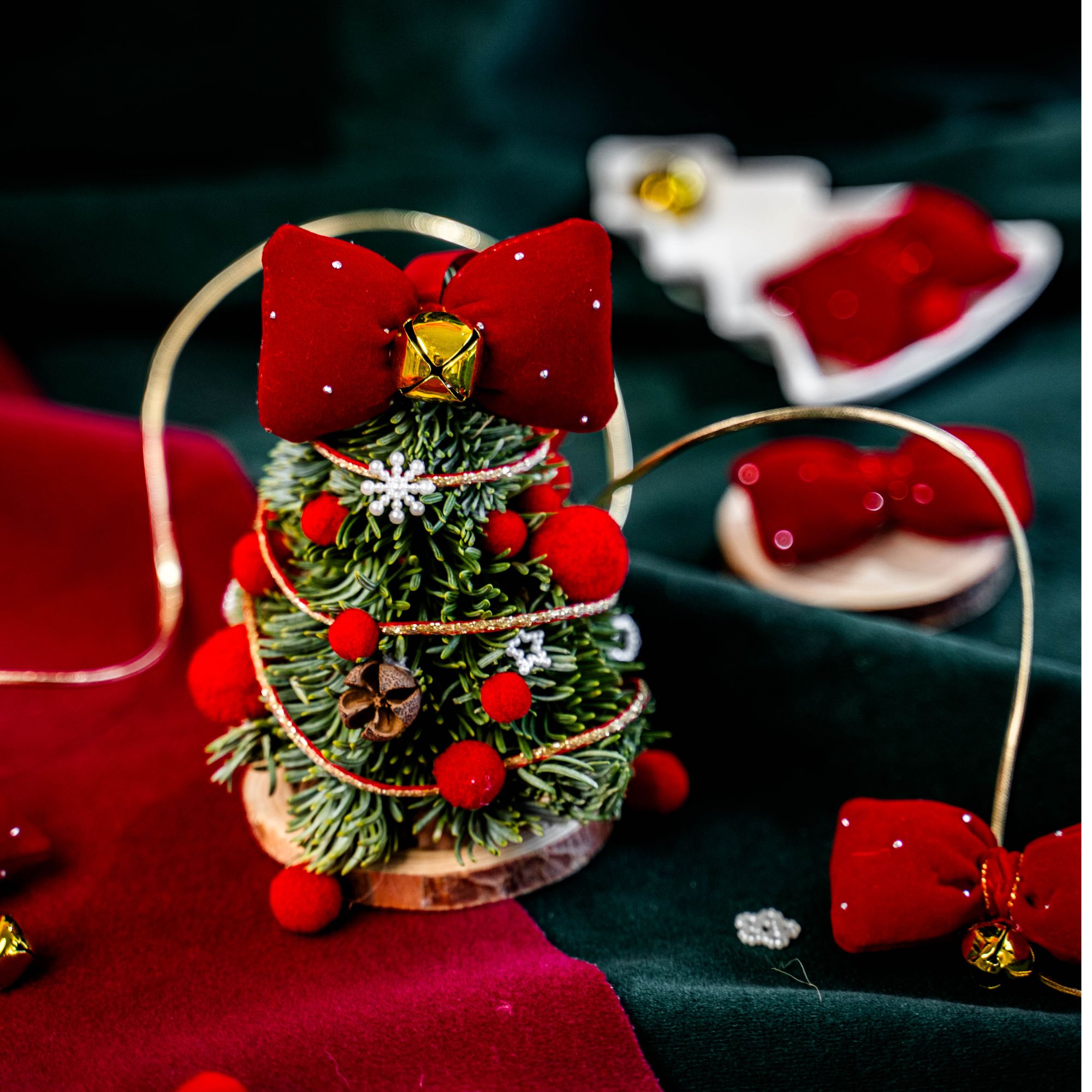 诺贝松新鲜圣诞树可做干花全手工系列真树