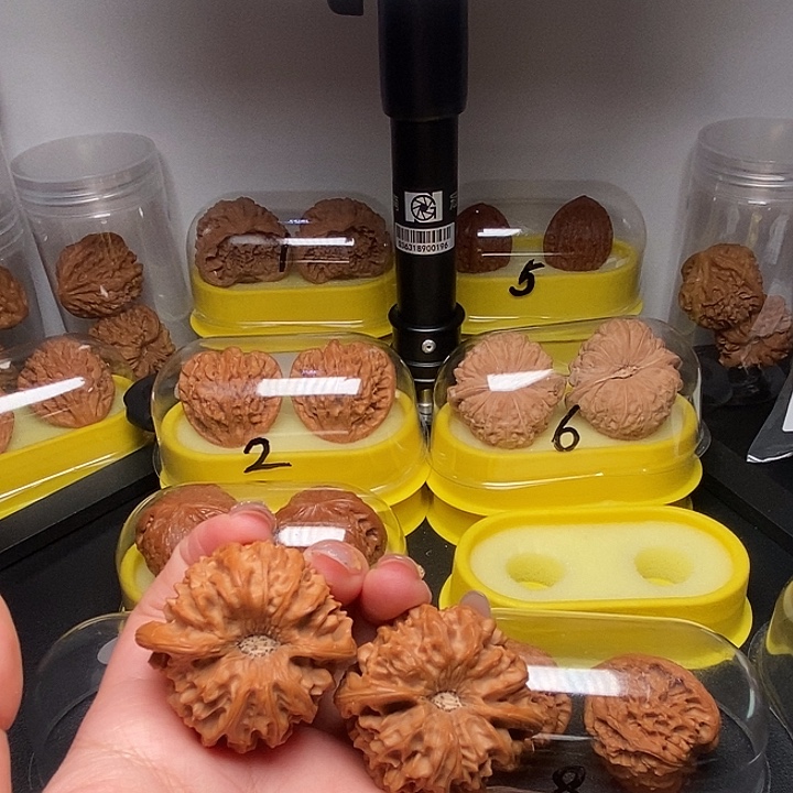 鹏***843陨石坑龙门涧           