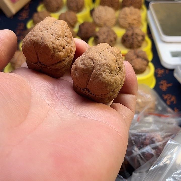 文玩核桃把件平头蟾39