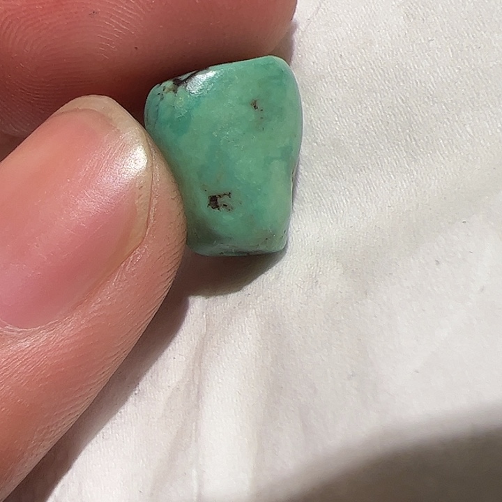 香榧木你的时候你