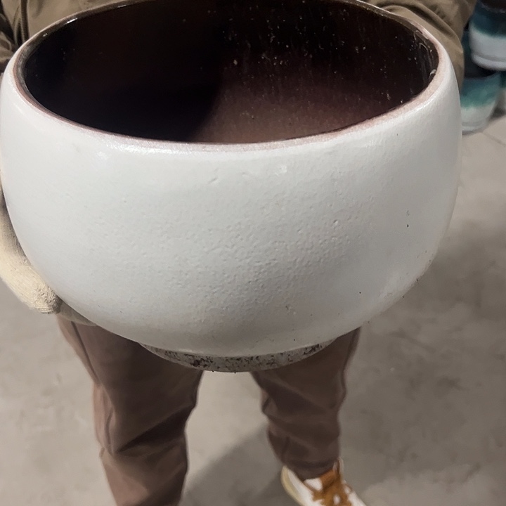 高度19厘米口26厘米微瑕