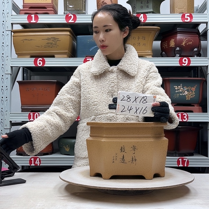 紫砂花盆紫砂花盆