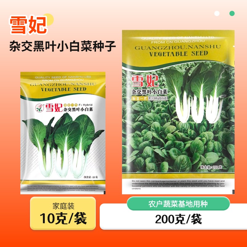 雪妃黑叶小白菜种子广白菜四季蔬菜种籽耐热耐寒速生白菜种孑