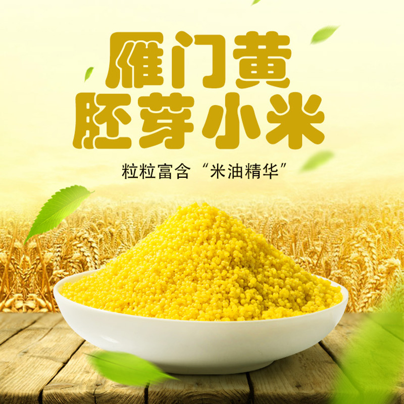 雁门黄【云州好物】雁门黄胚芽小米1.5kg